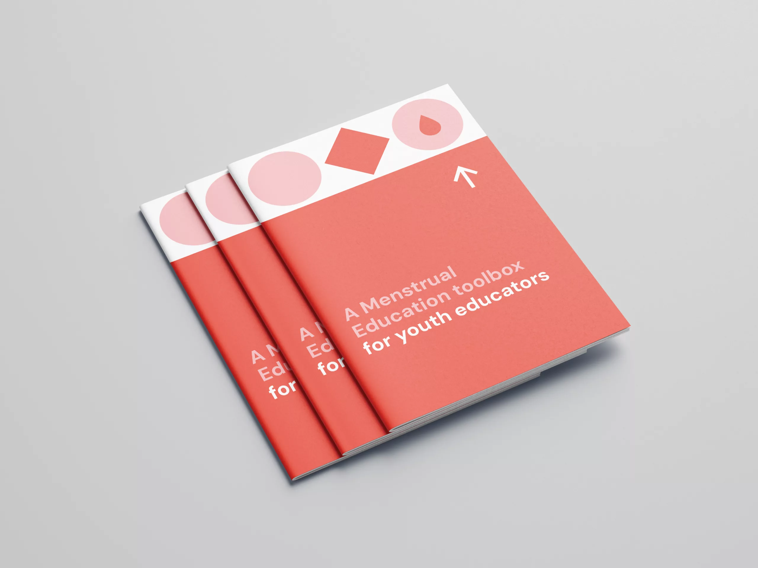 Free a4 brochure mockup 02